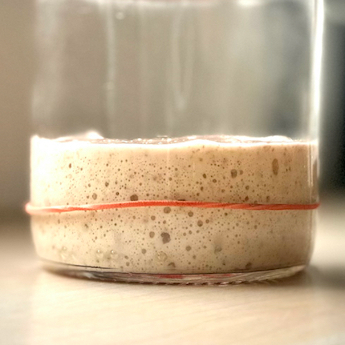 https://everythingpastry.com/wp-content/uploads/2025/07/sourdough-starter_Thumbnail.jpeg